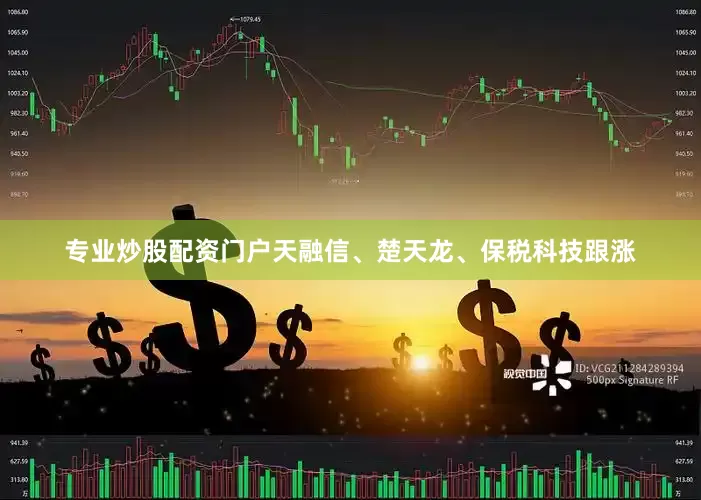 专业炒股配资门户天融信、楚天龙、保税科技跟涨