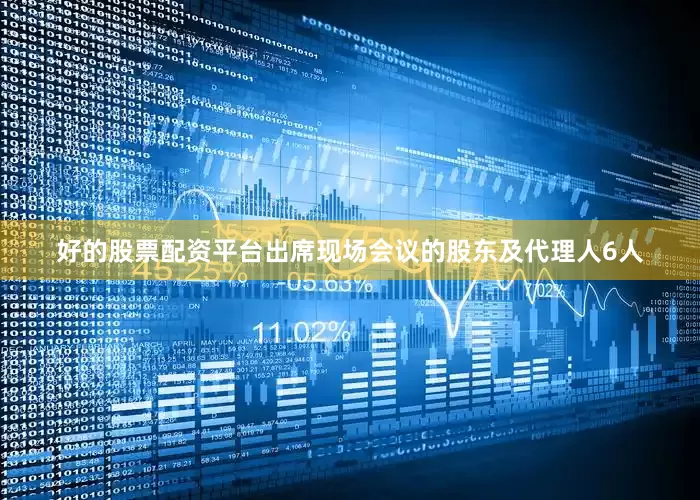 好的股票配资平台出席现场会议的股东及代理人6人