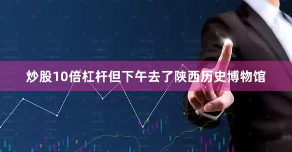 炒股10倍杠杆但下午去了陕西历史博物馆