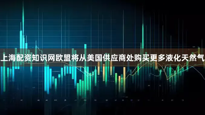 上海配资知识网欧盟将从美国供应商处购买更多液化天然气