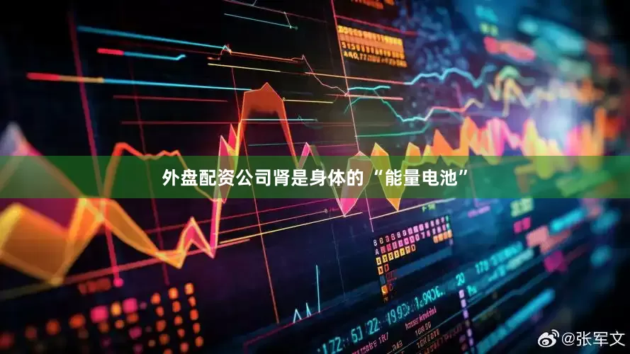 外盘配资公司肾是身体的 “能量电池”