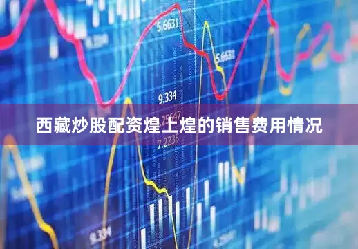 西藏炒股配资煌上煌的销售费用情况