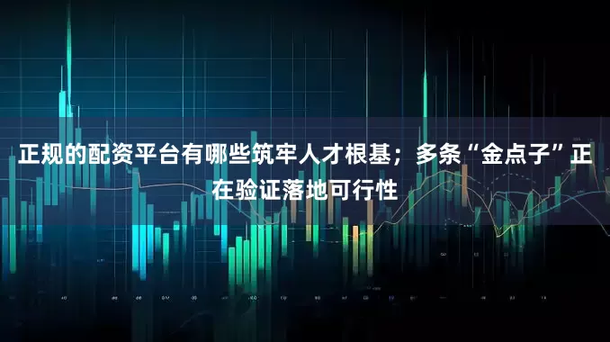 正规的配资平台有哪些筑牢人才根基；多条“金点子”正在验证落地可行性